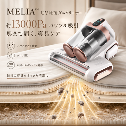 ダブルダストカップ